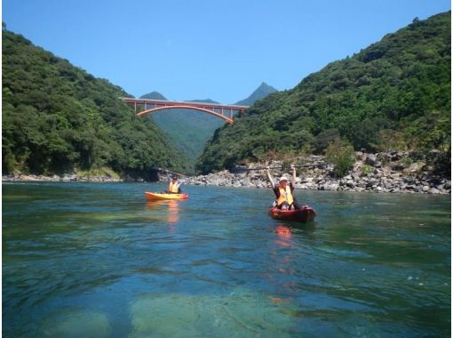 【鹿児島・屋久島】白谷雲水峡〜半日苔むす森トレッキング+安房川リバーカヤックのコンボツアーの画像