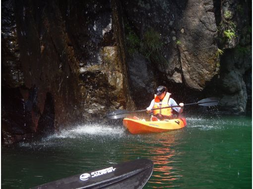 【鹿児島・屋久島】白谷雲水峡〜半日苔むす森トレッキング+安房川リバーカヤックのコンボツアーの画像