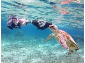 [冲绳/宫古岛]相遇率持续100%！在世界上最透明的大海中与海龟一起浮潜 <免费照片数据> 欢迎初学者和儿童！可即时预订！的
