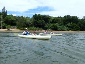 西表自然学校(Iriomote Nature School)