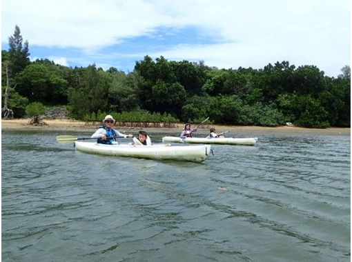 [Okinawa, Iriomote Island] For beginners! Urauchi River Mangrove Kayaking + Star Sand Beach Tourの画像