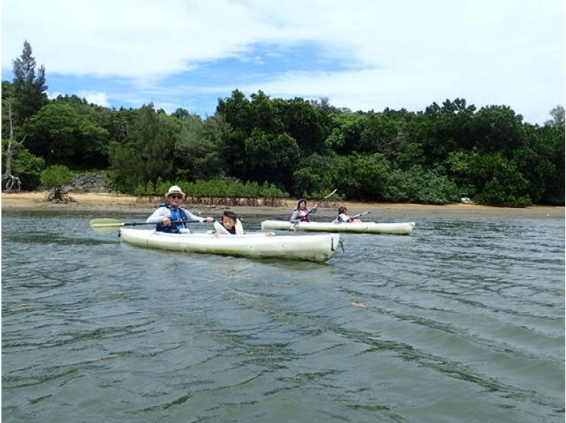 [Okinawa, Iriomote Island] Beginner-friendly! Urauchi River Mangrove Kayak Tourの紹介画像