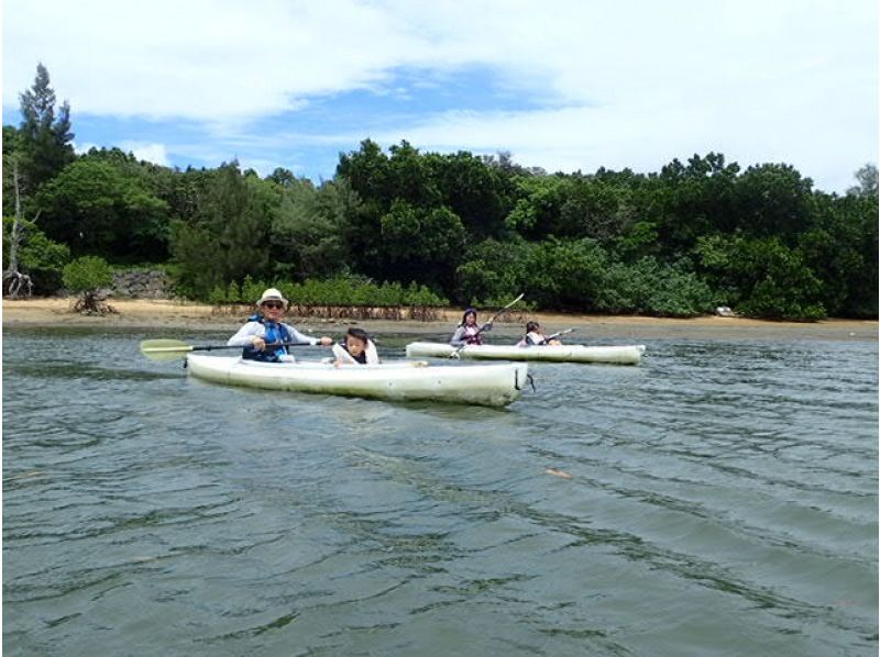 【沖縄・西表島】初心者向け！浦内川マングローブカヤック＋星の砂海岸ツアーの紹介画像