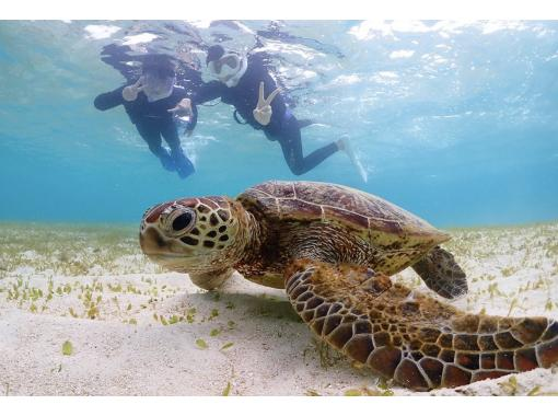 [Okinawa, Miyakojima] Limited to one group! Sea turtle snorkeling half-day tourの画像
