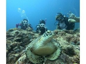 SALE! [Half-day tour departing from Ishigaki Port] Landing on the "Phantom Island" and trial diving, limited to 2 people! English available (GoPro photo service included)