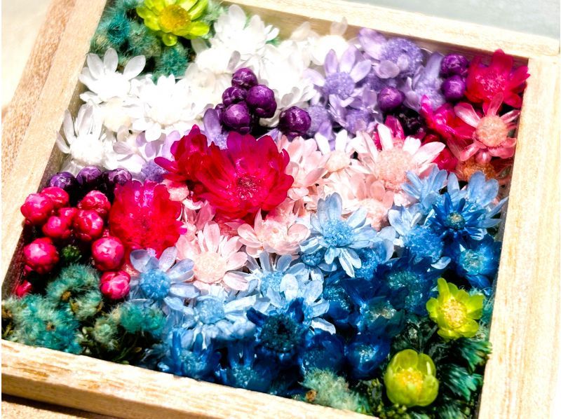 ~ Flower Garden HANANIWA ~ Experience creating a miniature flower garden that spreads in the palm of your handの紹介画像