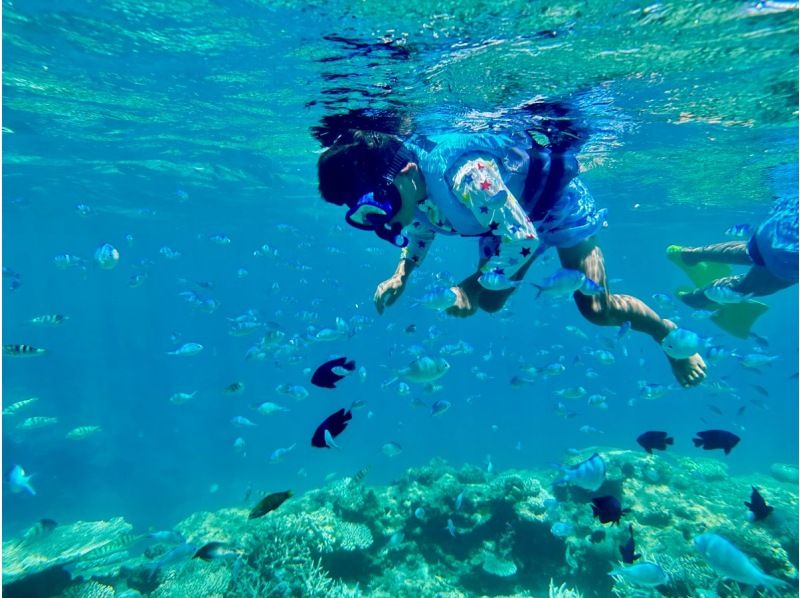 【北海道・SUP体験】透明度の高い支笏湖の湖面をクルージング!SUP体験(半日コース)の画像