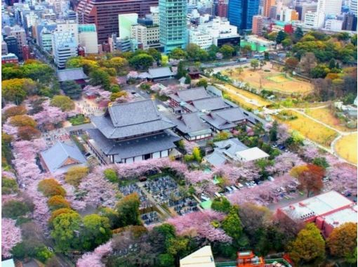 迎賓館和風別館のガイド付き見学&増上寺と芝公園の桜鑑賞ツアー～東京プリンスホテルにて和食のお食事付き～【029029－1075】の画像