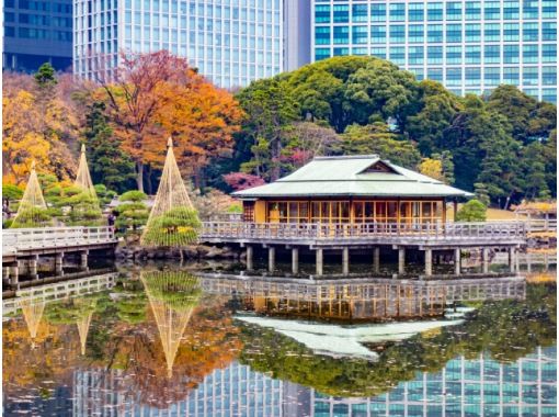 東京・丸の内・六本木 紅葉＆イルミネーション満喫ツアー ～皇居や神宮外苑の紅葉と東京タワーなど東京の人気名所！【029029-1444】の画像