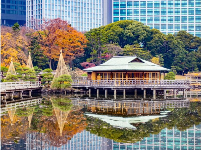 東京・丸の内・六本木 紅葉＆イルミネーション満喫ツアー ～皇居や神宮外苑の紅葉と東京タワーなど東京の人気名所！【029029-1444】の紹介画像