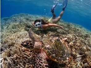 [Okinawa, Ishigaki] Depart by boat from Ishigaki Island! Sea turtle snorkeling one-day tour! (Lunch & transportation included)