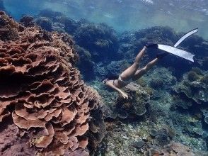 [Okinawa, Ishigaki] <Plan for one person only> Skin diving (free diving) 1-day course! Recommended for those who are not satisfied with snorkeling! (Lunch & transportation included)