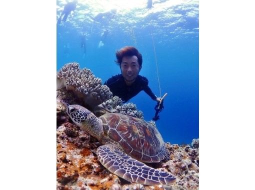 [Okinawa, Ishigaki] <Great value for 4 or more people!> Departing by boat from Ishigaki Island! Sea turtle snorkeling half-day tourの画像