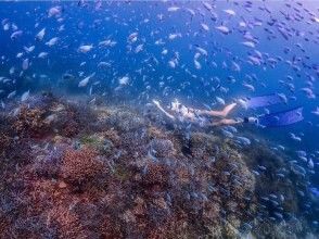 [Okinawa, Ishigaki] <Great value for 4 or more people> Half-day skin diving tour! Recommended for those who are not satisfied with snorkeling, women, and couples ♪ 