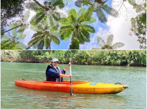 A private tour with peace of mind! Kinsakuhara & Mangrove Canoe Tour! Children and beginners welcome | Enjoy two of Amami Oshima's major tours in one dayの画像