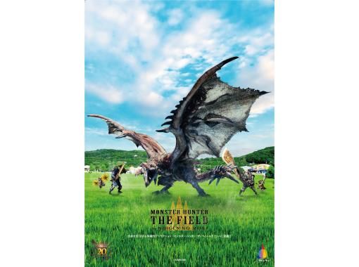 [Hyogo, Awaji Island] Monster Hunter: The Field in Nijigen no Moriの画像