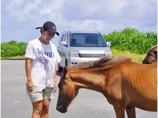【沖縄・与那国島】手軽に巡る周遊観光！島ガイドが案内する王道の観光スポットツアー★3時間プラン★の画像