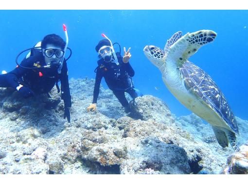 SALE! Group travel support [Ishigaki Island Diving, Phantom Island, Sea Turtles, 1 day] Landing on the phantom island & 2 dives experience diving & snorkeling! ☆Free photo data☆の画像