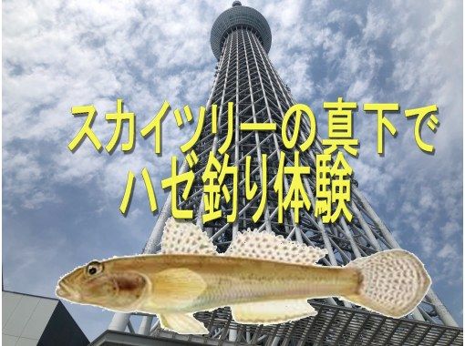 【東京墨田区-てぶらOK-初心者向け・超絶愉快】スカイツリーの真下でハゼ釣り体験の画像