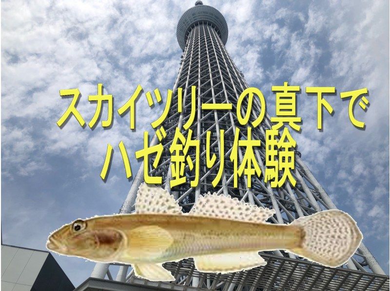 [Tokyo Sumida-ku - Walk-in OK - Beginner-friendly - Super fun] Goby fishing experience right under the Skytreeの紹介画像