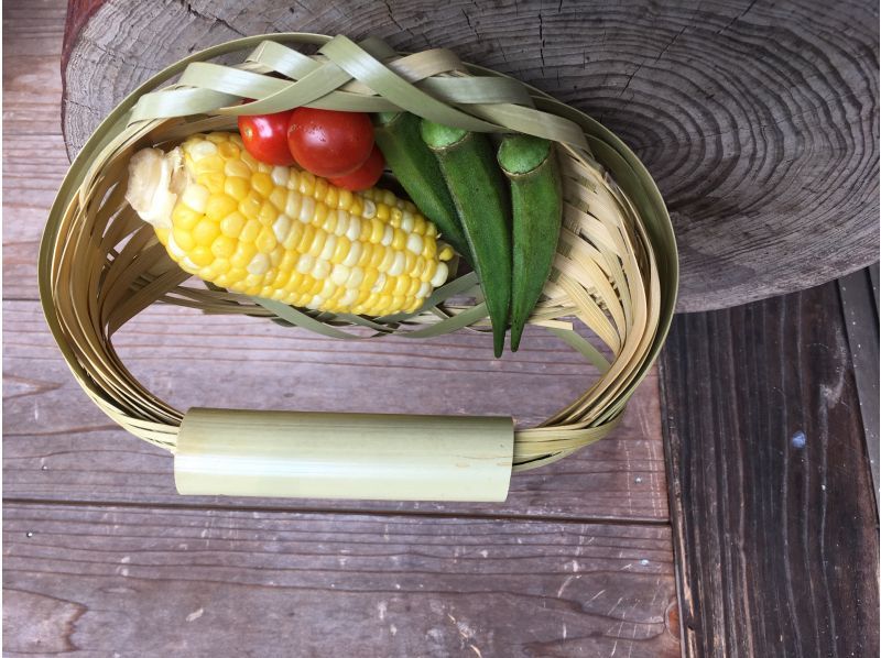 [Oita, Yufu] <Mat scale basket> Just weave it and you're done! A bamboo basket that will add color to your dining tableの紹介画像