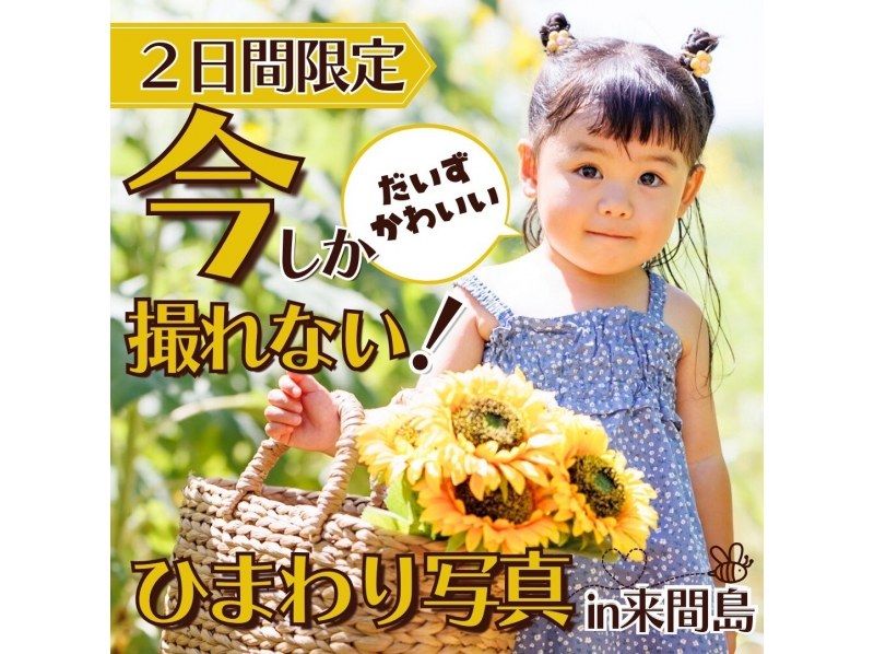 [Okinawa, Miyakojima] Held on July 20th (Sat) and July 21st (Sun)! Sunflower photo shoot in Kurimajimaの紹介画像
