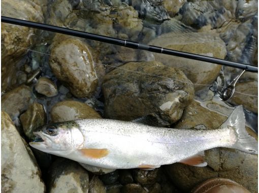 [北海道/富良野]富良野釣魚之旅の画像