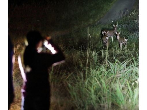 【北海道・富良野】秋におすすめ、富良野夜の自然ツアーの画像