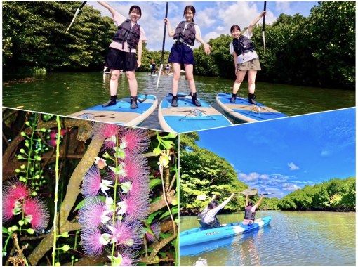 [Ishigaki Island] Value pack for enjoying the afternoon! Mangrove SUP or canoeing & hanging flower viewing tour [April to August only] ★Same-day applications accepted★の画像