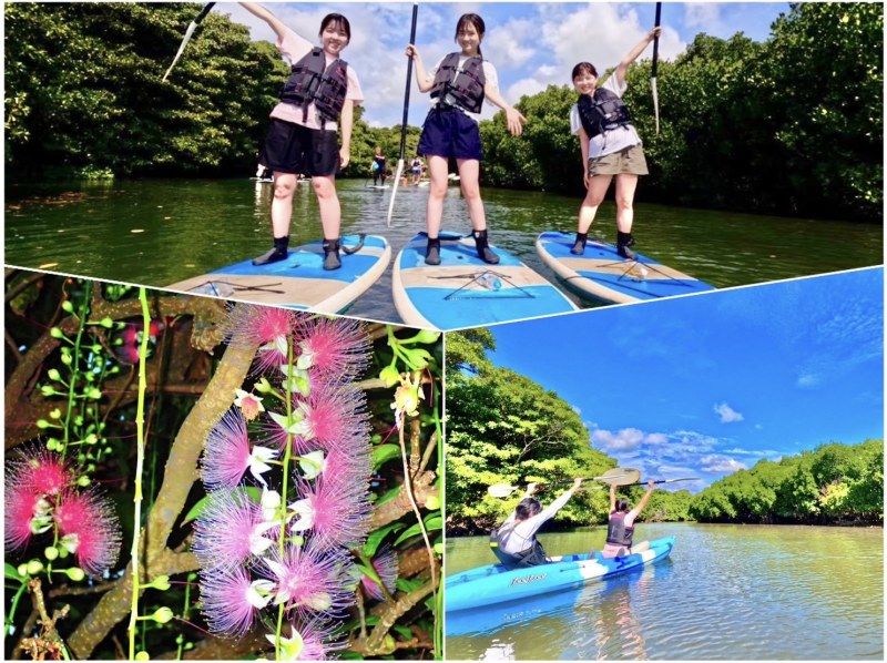 [Ishigaki Island/Evening] Value pack for enjoying the afternoon! Mangrove SUP or canoe & hanging flower viewing tour [April to August only] ★Same-day applications accepted★の紹介画像