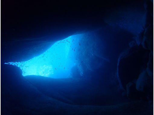 [Shizuoka/Nishiizu/Koganezaki] Fun diving at the famous Uma Rock ~ <Beginners, solo divers, and veteran divers are welcome> Safe and secure small group system ♪の画像