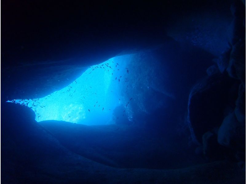 [Shizuoka/Nishiizu/Koganezaki] Fun diving at the famous Uma Rock ~ <Beginners, solo divers, and veteran divers are welcome> Safe and secure small group system ♪の紹介画像