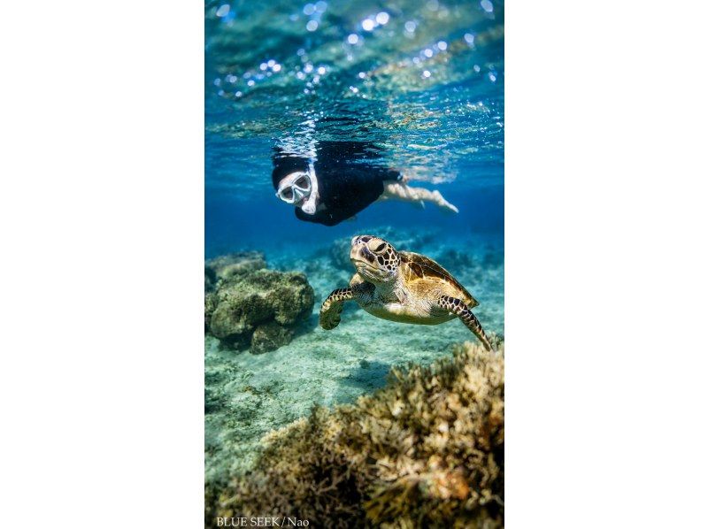 【北海道・SUP体験】透明度の高い支笏湖の湖面をクルージング！SUP体験（半日コース）の画像