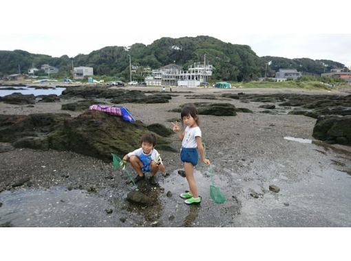 【東京・調布】夏休み自由研究　海川の生き物を学1日、横須賀三浦、川〜海でまるごと観察三昧の画像