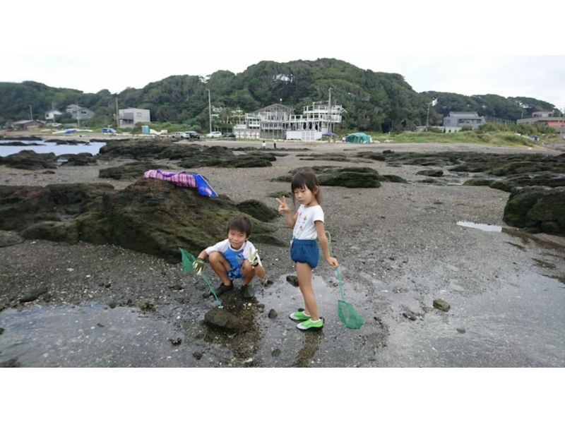 [Tokyo, Chofu] Year-round event: Learn about sea and river creatures for one day, Yokosuka Miura, river to sea observationの紹介画像