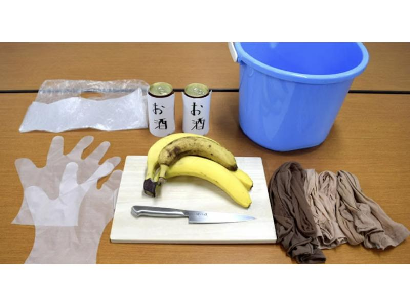 [Tokyo, Chofu] Year-round, Secret recipe for making banana traps and stag beetle hunting experience