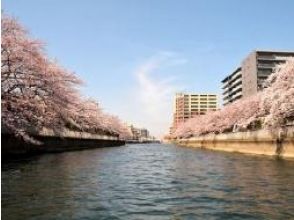  日本橋出船！お花見船を満喫♪ 桜の運河探訪・3大運河お花見クルーズ＆日本橋ランチ【029029‐1033】