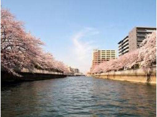  日本橋出船！お花見船を満喫♪ 桜の運河探訪・3大運河お花見クルーズ＆日本橋ランチ【029029‐1033】の画像