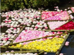 甘い香り漂う日本最大級の牡丹園＆ポピー畑と東海寺巡りバスツアー　～牛久シャトーレストランでの洋食ランチ付～【029029‐1185】