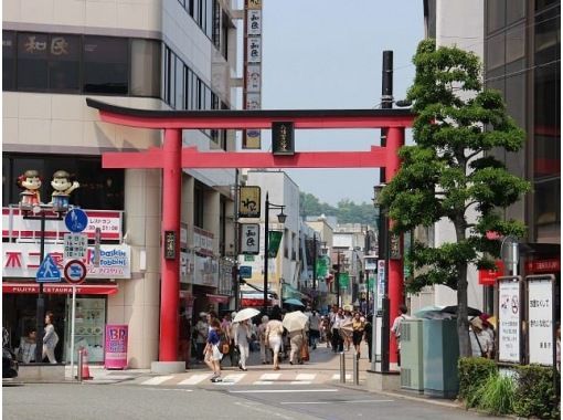 【東京発・鎌倉】特別公開 旧華頂宮邸＆竹の庭「報国寺」など秋の鎌倉寺社さんぽ～うなぎ御膳ランチ付き【029029-1475】の画像