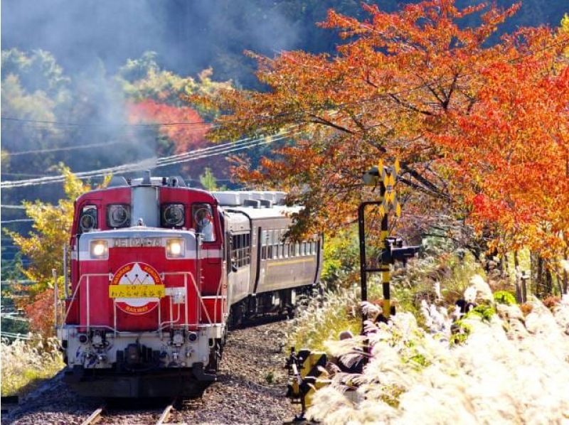 【東京発・群馬】紅葉の渓谷鉄道と宝徳寺床もみじ旅【029029-1422】の紹介画像