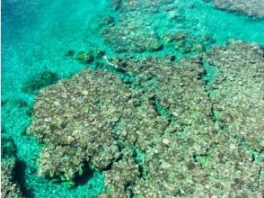 [Departing from Onna Village, Okinawa] "Snorkeling cruise to two spectacular locations + mysterious blue eyes and coral colonies" Drone and underwater photography free ★ Rental items such as SUP also available