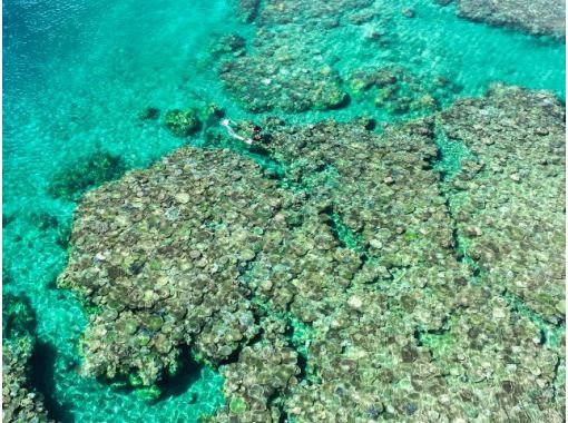 [Departing from Onna Village, Okinawa] "Snorkeling cruise to two spectacular locations + mysterious blue eyes and coral colonies" Drone and underwater photography free ★ Rental items such as SUP also availableの画像