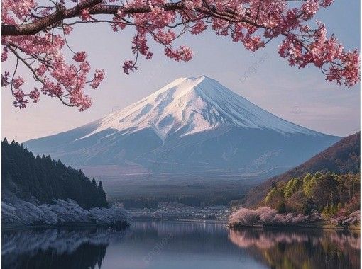 【山梨・山中湖】富士山お花見SUP／初心者、ワンちゃん大歓迎の画像