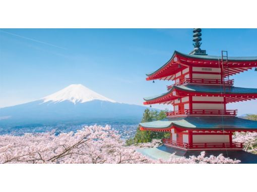 Yamanashi, Kawaguchiko] Net celebrity check-in spot