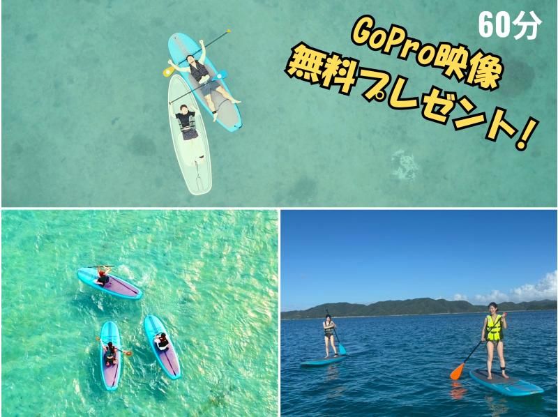 SALE！【奄美大島】【当日予約OK！】【６０分】SUP！撮影データプレゼントの紹介画像