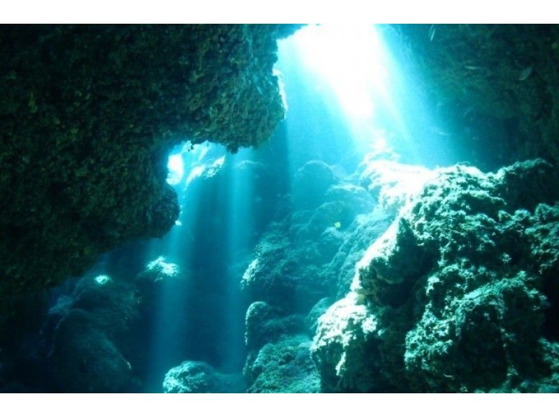【渡嘉敷島・座間味島・黒島など】慶良間2ボートファンダイビング
