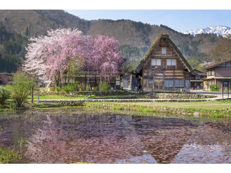 【每天從名古屋站出發】帶您了解郡上八幡、飛驒高山、白川鄉3座古城的歷史和傳統的巴士一日遊（提供英語、日語、中文）の紹介画像