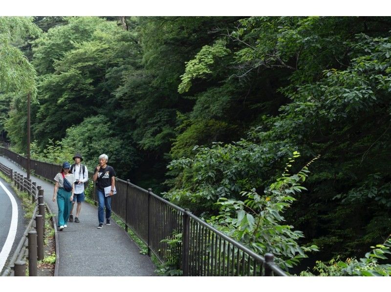 【群馬・四万温泉】四万温泉のまち歩きツアーの紹介画像