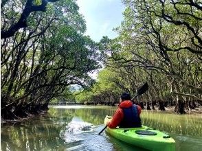 奄美大島1人旅ガイド　コンチジャーニー